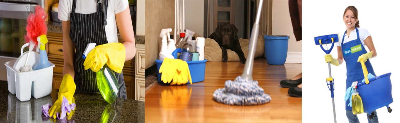 Housekeeping / Janitorial Services