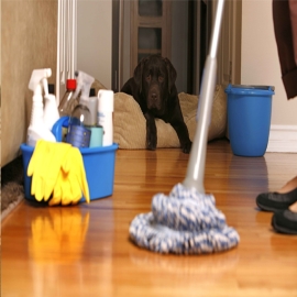 housekeeping and janitorial Services
